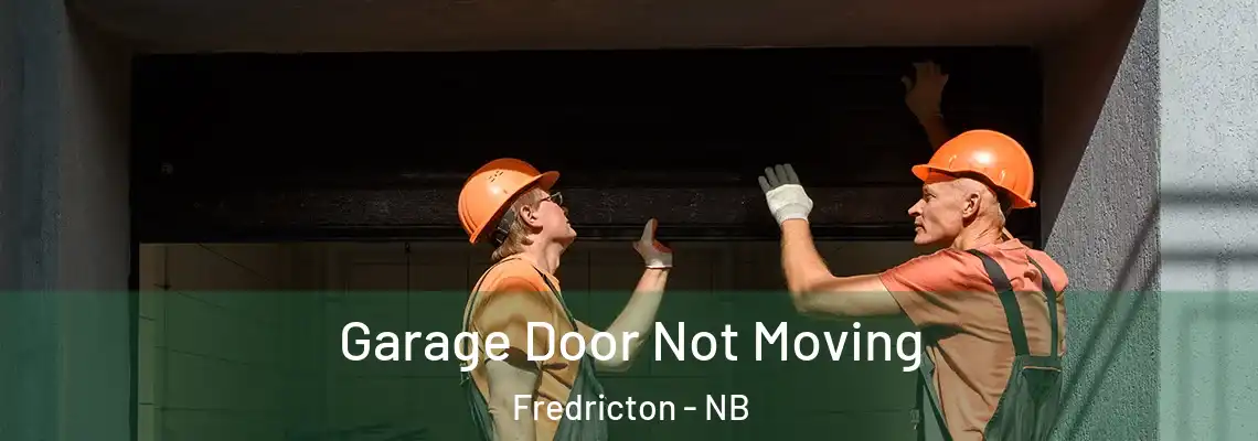 Garage Door Not Moving Fredricton - NB