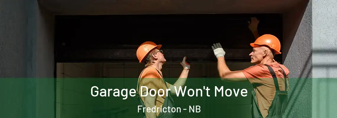 Garage Door Won't Move Fredricton - NB